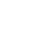 Domus Mirea